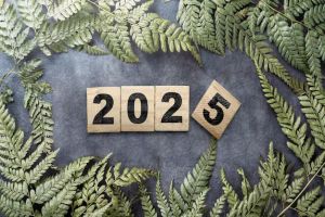 怎么才算是贷款黑户2025年评点，归类五个贷款黑户认定标准与信用逾期影响分析